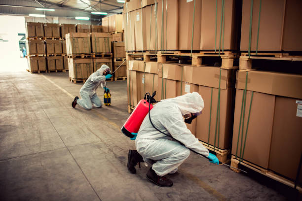 Professional Pest Control in Casselberry, FL