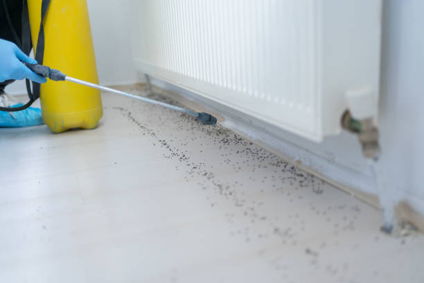 Best Affordable Pest Control Services  in Casselberry, FL