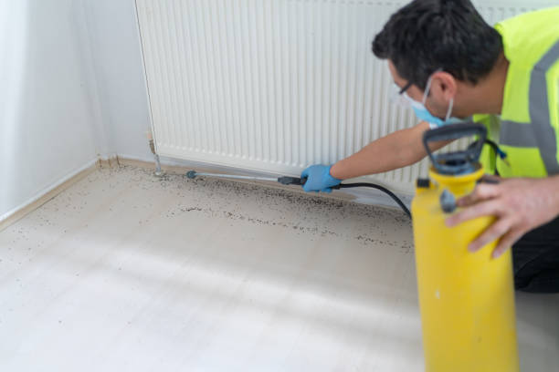 Best Ant Control Services  in Casselberry, FL